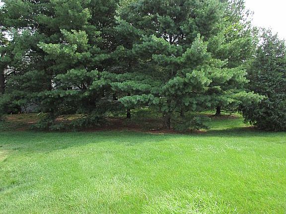 View from Living Room