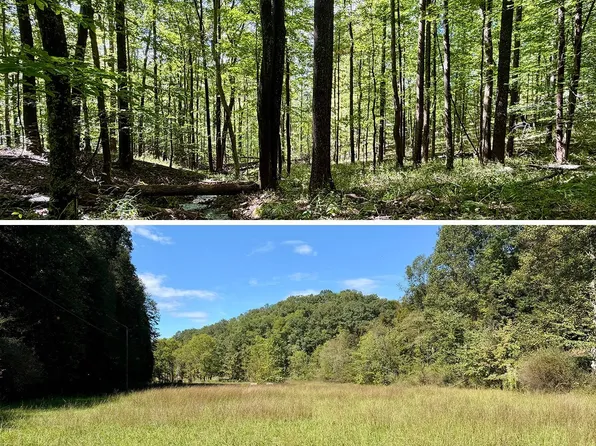 Rock Cave Rd, Crawford, WV 26343