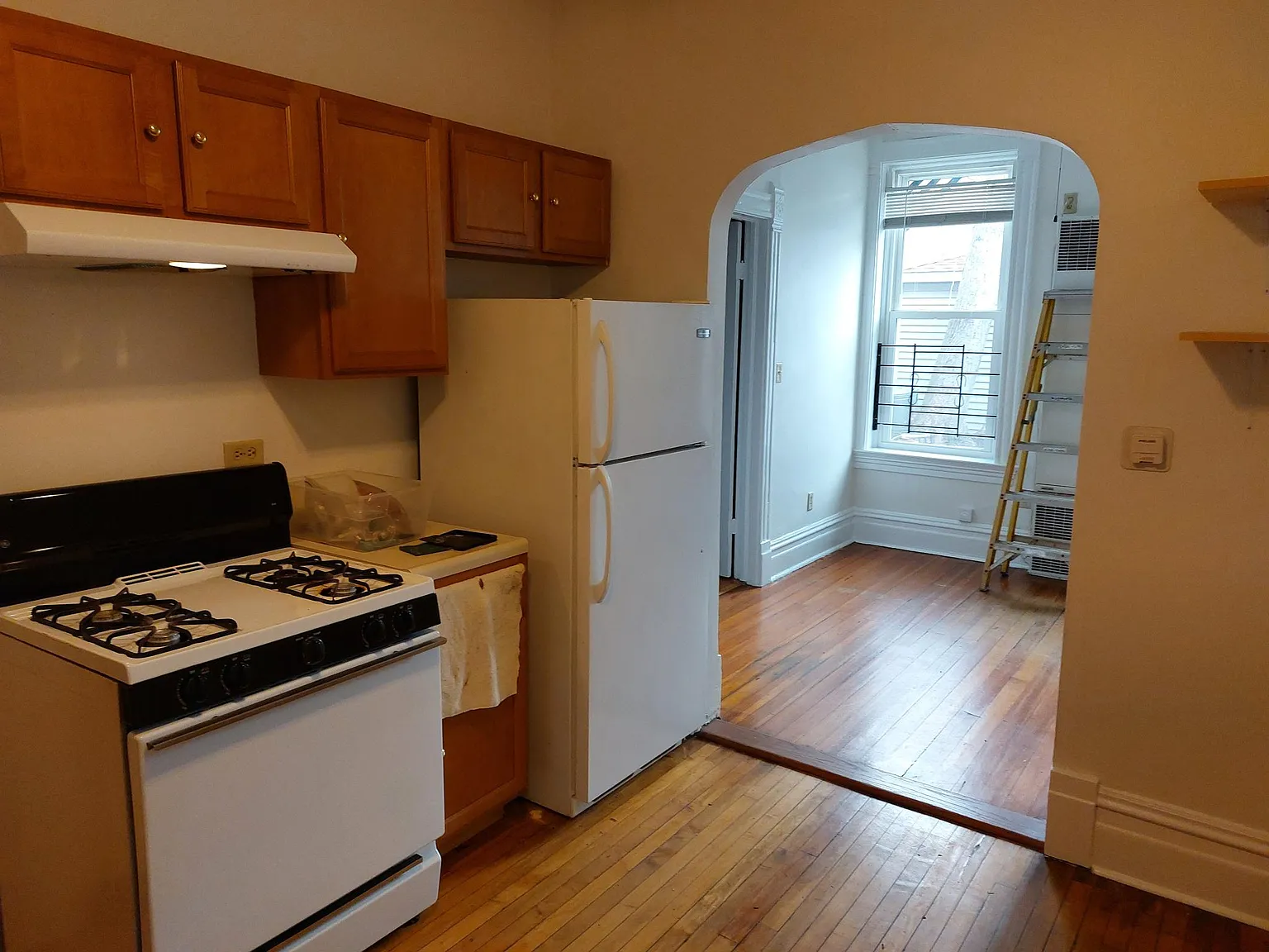 1 bed, $1,575 — Photo 4