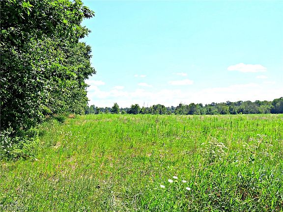 4th image of Wolff Rd