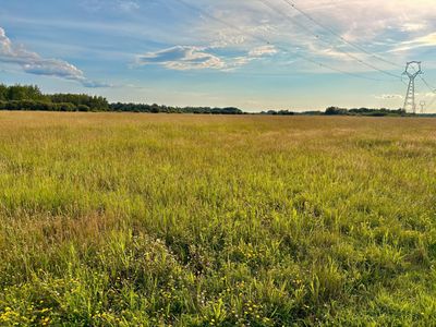 13th Ave SW, Baudette, MN, 56623