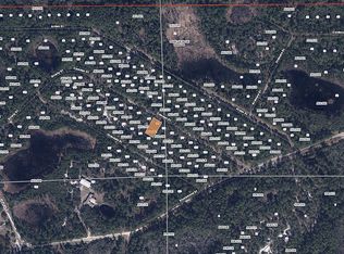 141 Camden St, Georgetown, FL 32139