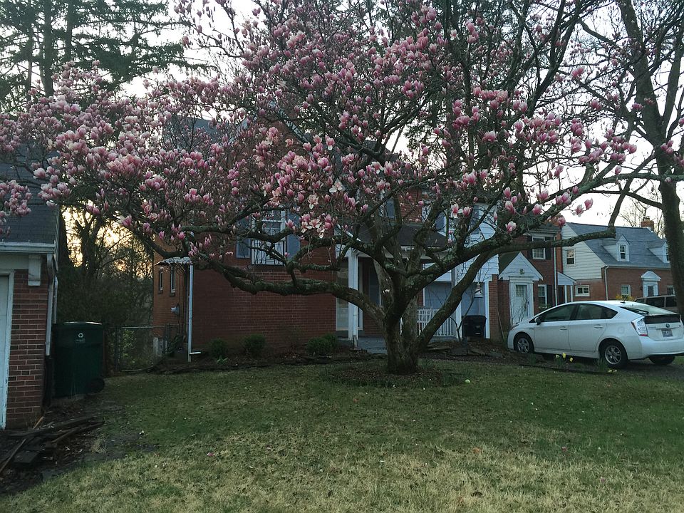 1st image of 5890 E Woodmont Ave