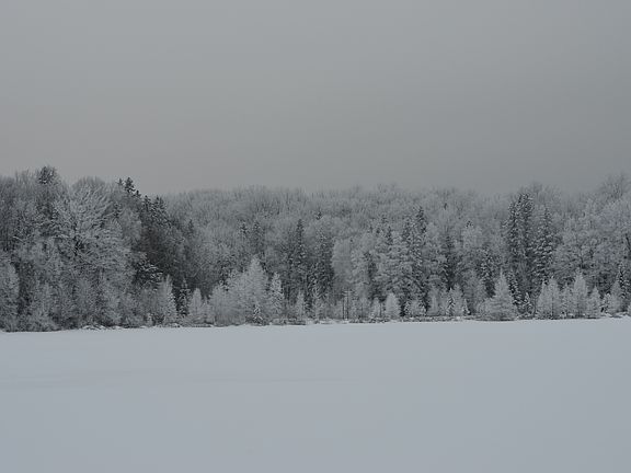 2nd image of 1159 Little Bear Ln