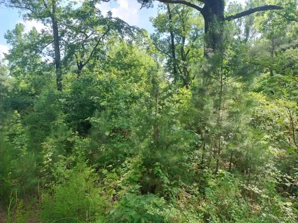 0 Highway 195, Double Springs, AL 35553