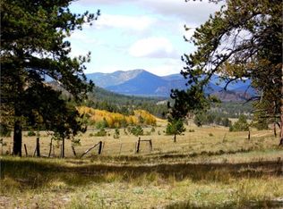 36640 County Road 77, Lake George, CO 80827