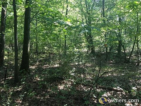 Wooded Area along the creekk