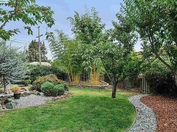 Peaceful Fenced in Yard