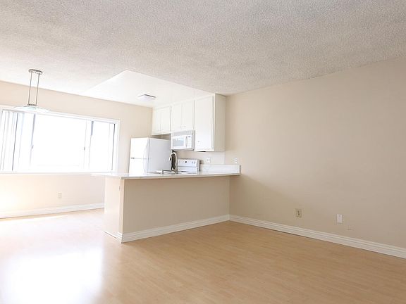 Living area and kitchen.