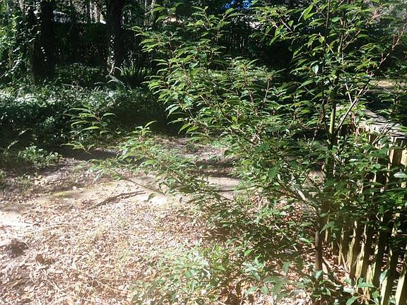 2nd image of 4864 Northford Pl W