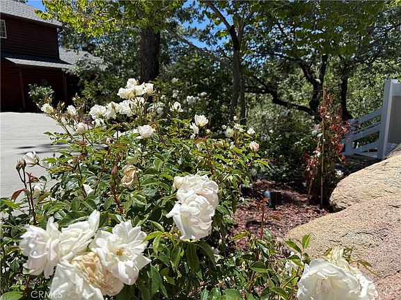 3rd image of 32425 Snowshoe Ln