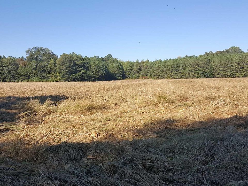 1st image of 2667 Buchanan Hwy