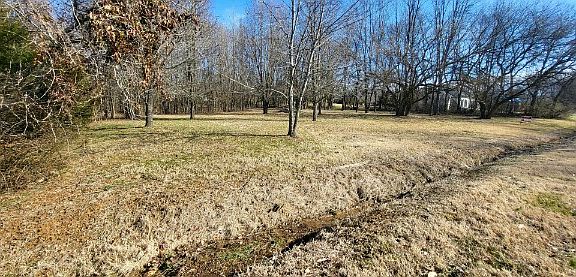 5th image of 0 Buchanan Cir Lot 74