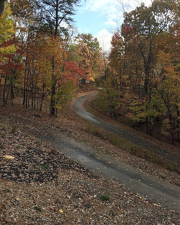 Fall view from side porch