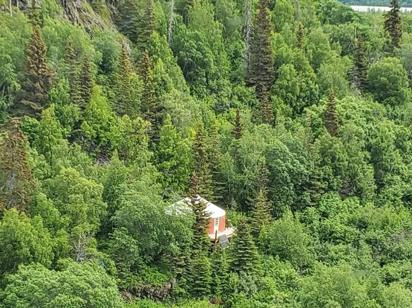 78-11 Tiekel Sta #L7, Chitina, AK 99566