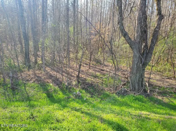 3 State Highway 304, Decatur, TN 37322