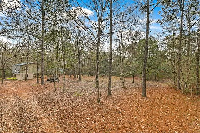 2 bed, 1.0 bath, 768 sqft, $1,400 — Photo 3