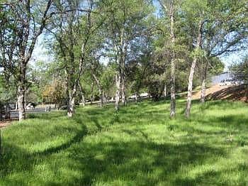 3rd image of 21000 Elderberry Way