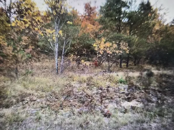 LOT 17 Northwood Dr, Grayling, MI 49738