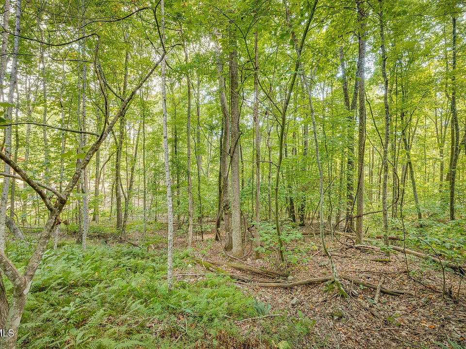 1st image of 16 Forest Dr