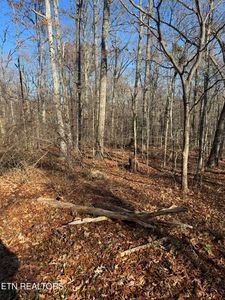 621 Catawba Ln, Crossville, TN, 38572