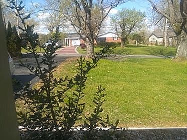 View from front porch