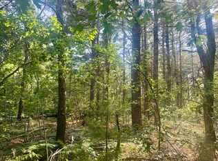 Four Sturgis Rd, Atlanta, MI 49709