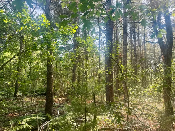Four Sturgis Rd, Atlanta, MI 49709