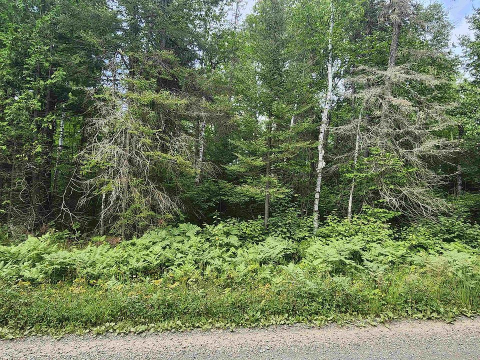 2nd image of XXX Irish Creek Rd