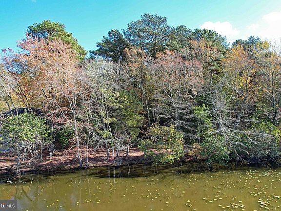 2nd image of LOT 29 Bayard Ln