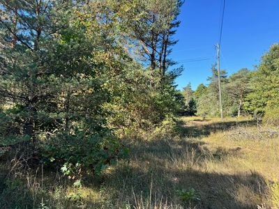 V/l S Tall Pine Trl, Newaygo, MI, 49337