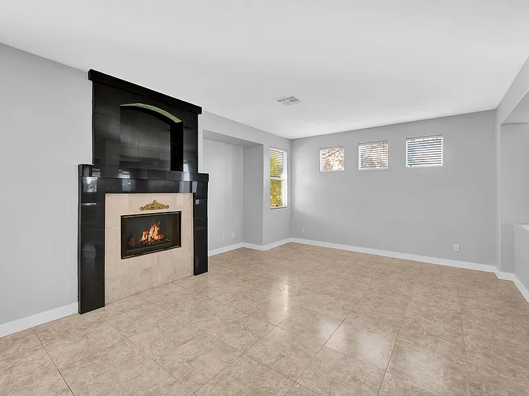 1009 Black Olive St — Photo 4