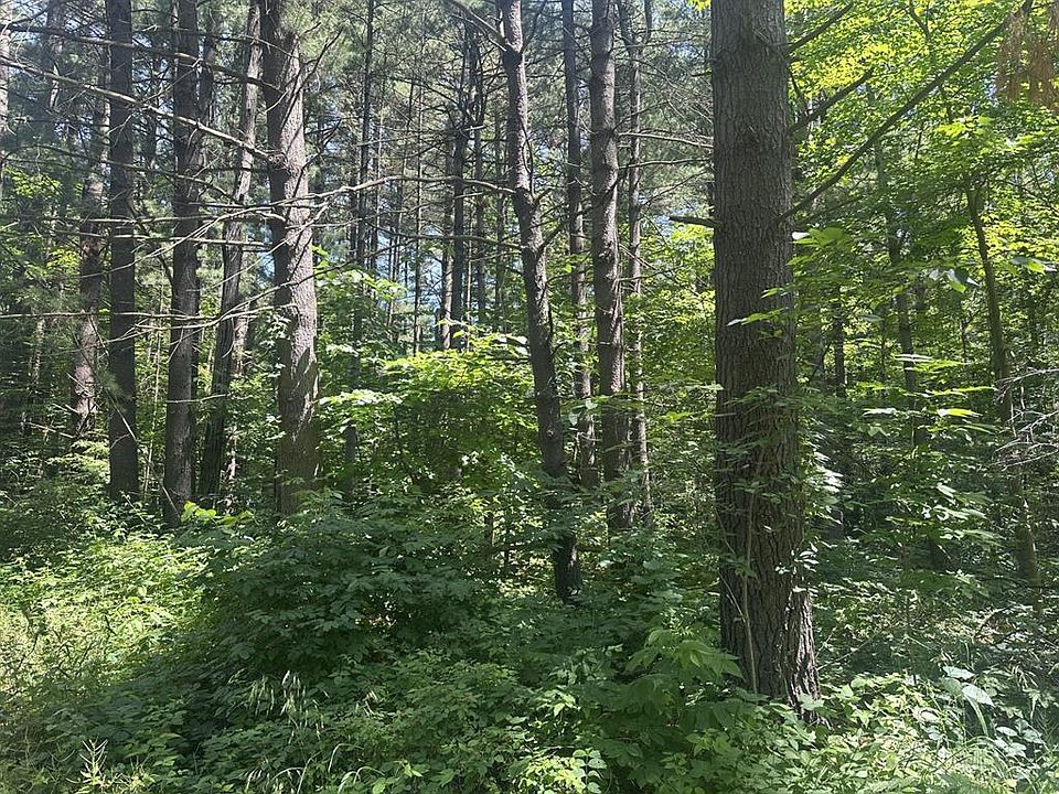 2nd image of Lot 1 Becker Road