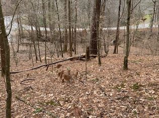 317 Beaver Lake Dr, Ellijay, GA 30540