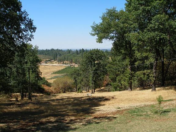 Beautiful vineyard views