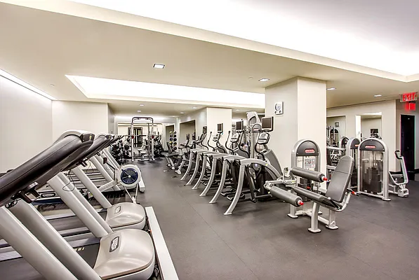 Rented by Avenue Real Estate | media 7