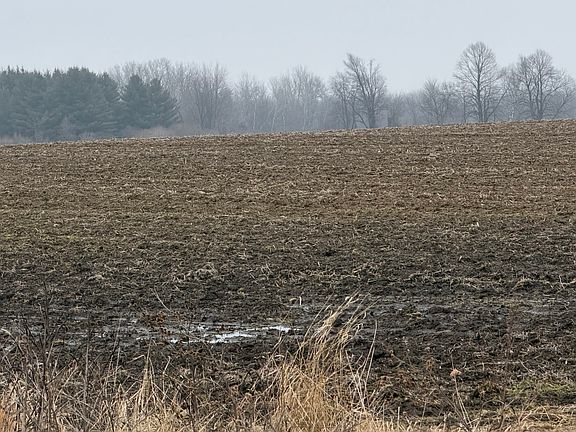 3rd image of 5126 Sheldon Rd