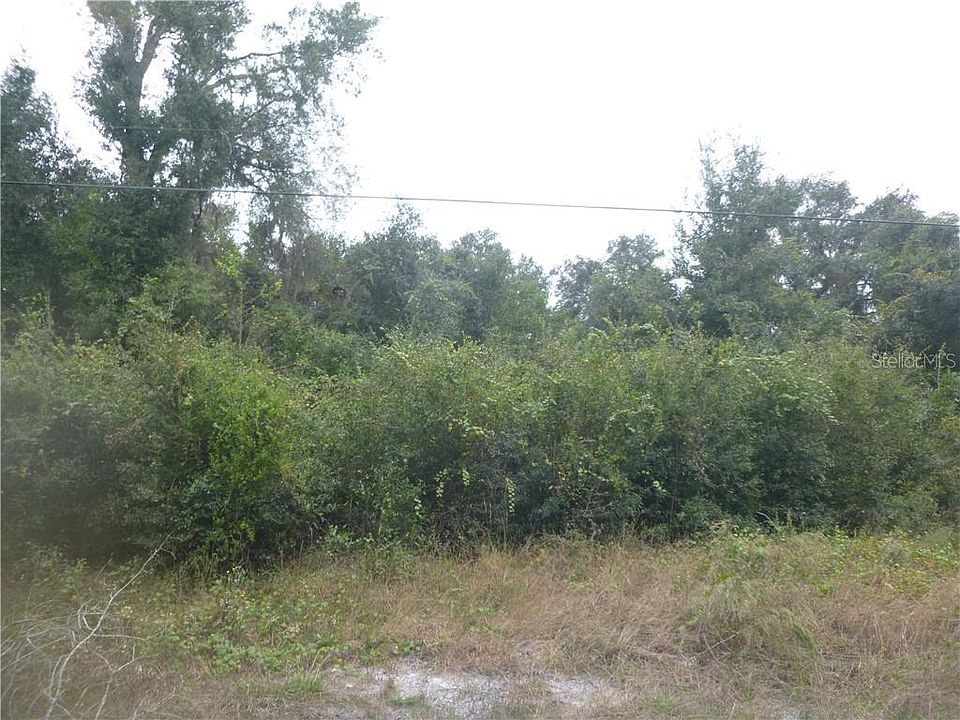2nd image of Orchid Pkwy