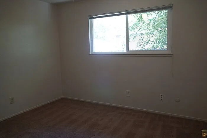 5356 Elsinore Way — Photo 8