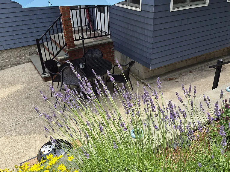 144 Wildwood Ave #1 — Photo 15