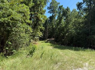 Creeklake Drive 20 Lot 25-17, Onalaska, TX 77360
