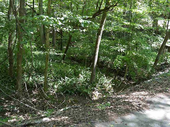 5th image of 63 Wolf Hollow Ln #63