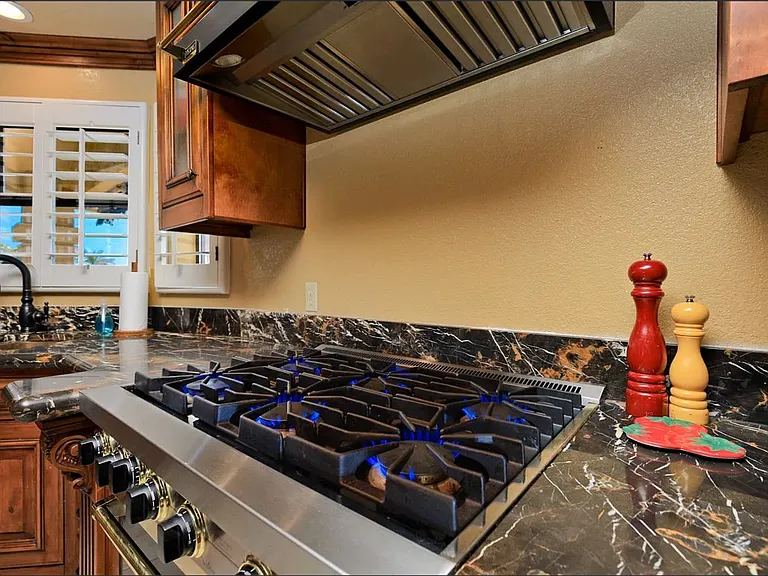 Vicking Professional Gas range