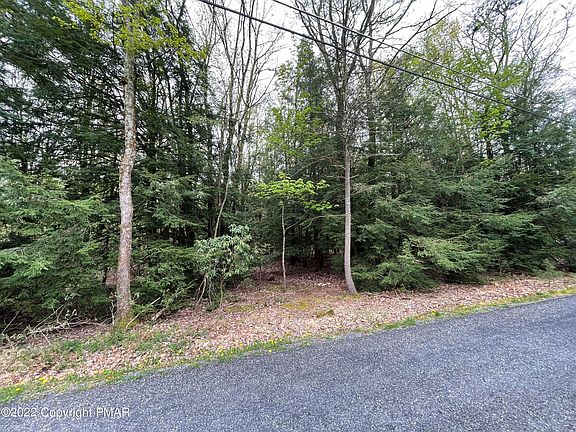 4th image of 802 Dogwood Ln