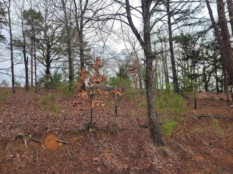 2nd image of White Fir Rd
