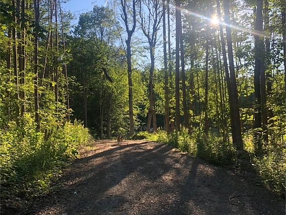3rd image of Yellow Barn Rd Lot 54
