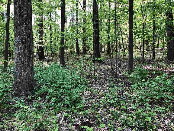 5th image of LOT 7 Preservation Forest Ln Lot 7