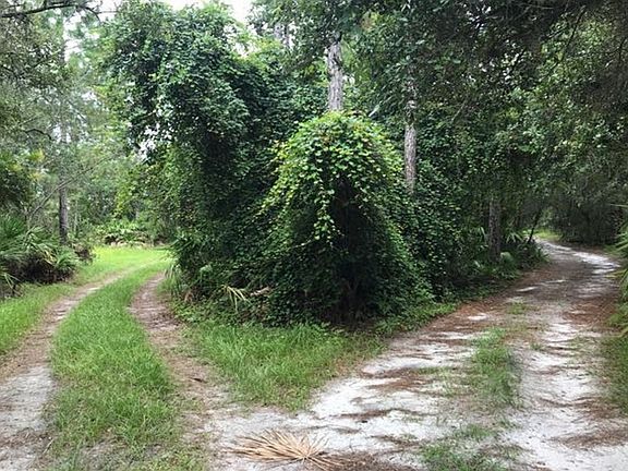 5th image of 32740 Red Oak Dr