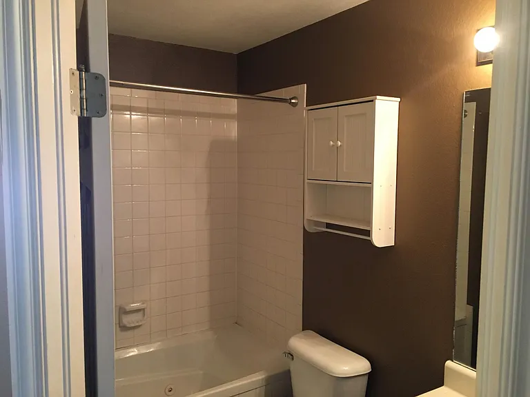 hall bathroom