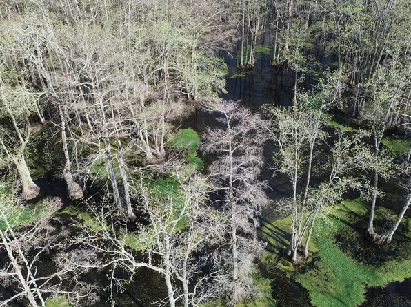 420 Cr, Minter City, MS 38944